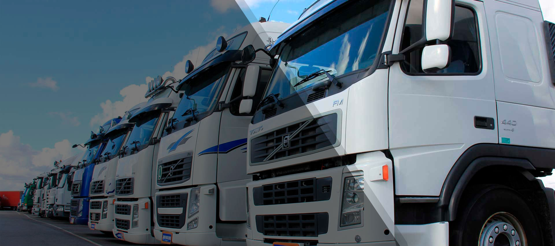 SERVICIOS LOGISTICOS INTELIGENTES